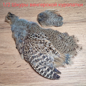 Скальп венгерской куропатки 1/2. Hungarian Partridge Skin
